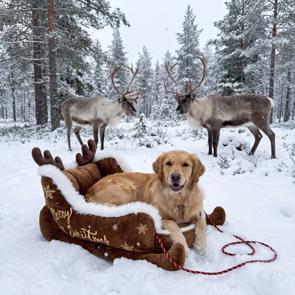 JingleTails — Christmas Pet Beds